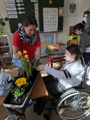 Frühling im Schulgarten