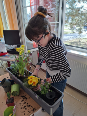 Frühling im Schulgarten Frühling im Schulgarten