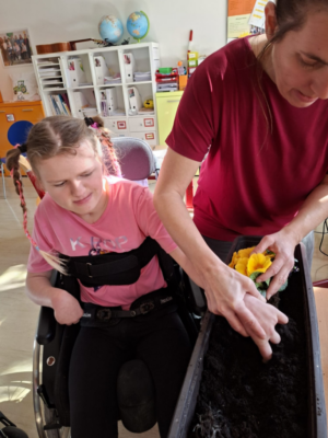 Frühling im Schulgarten