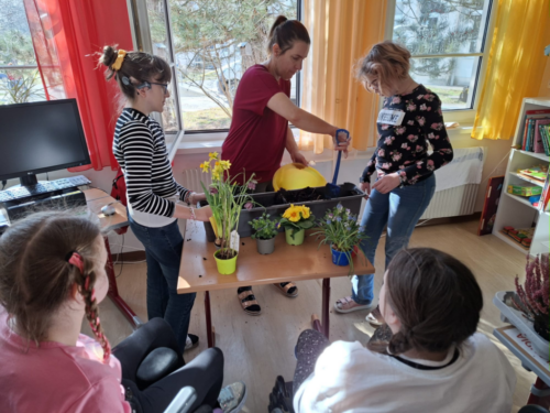 Frühling im Schulgarten