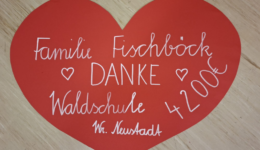 WhatsApp Image 2026-03-17 at 07.17.37