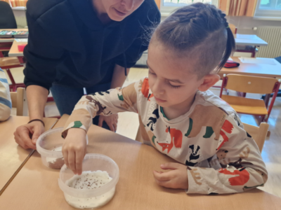 Kresseanbau Kresseanbau