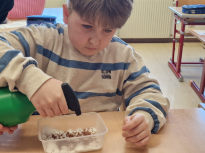 Kresseanbau Kresseanbau