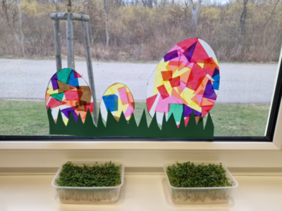 Kresseanbau Kresseanbau