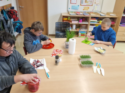 Kresseanbau Kresseanbau