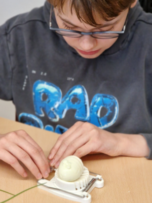 Kresseanbau Kresseanbau