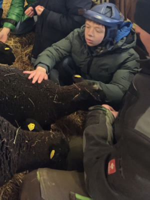 Osteraktivitäten mit Therapie