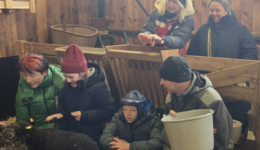 Osteraktivitäten mit Therapie