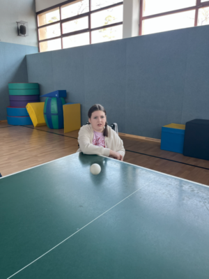 Ballsportarten Ballsportarten