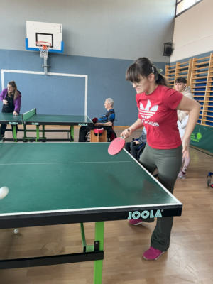 Ballsportarten Ballsportarten