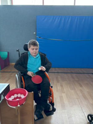 Ballsportarten Ballsportarten