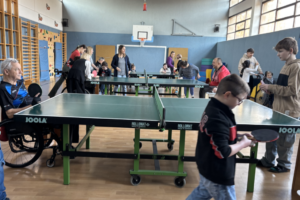 Ballsportarten Ballsportarten