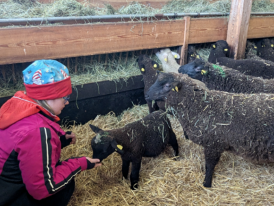 Osteraktivitäten mit Therapie Osteraktivitäten mit Therapie