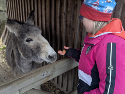 Osteraktivitäten mit Therapie Osteraktivitäten mit Therapie