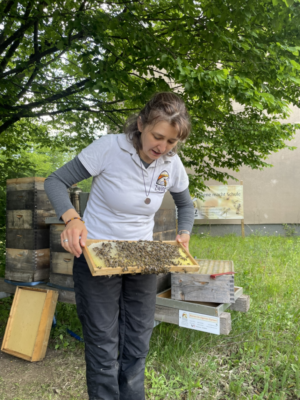 Besuch der Imkerin Besuch der Imkerin