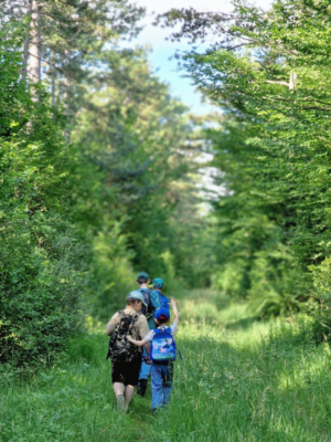 Wanderung durch den Föhrenwald