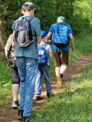Wanderung durch den Föhrenwald