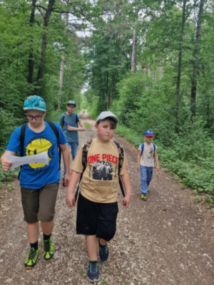 Wanderung durch den Föhrenwald