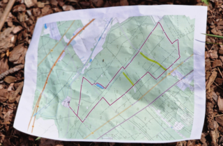 Wanderung durch den Föhrenwald