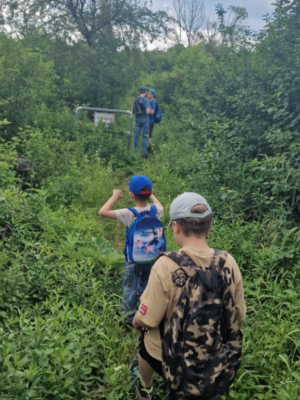 Wanderung durch den Föhrenwald Wanderung durch den Föhrenwald