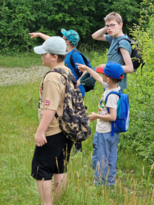 Wanderung durch den Föhrenwald Wanderung durch den Föhrenwald