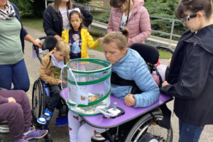Projekt Schmetterlinge