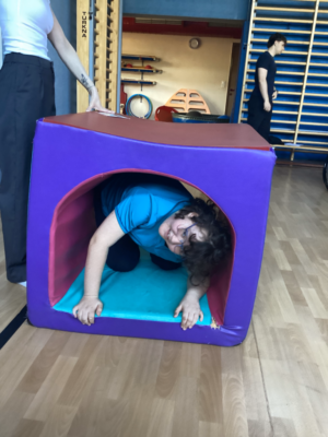 Projekt Schmetterlinge Projekt Schmetterlinge