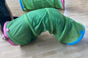 Projekt Schmetterlinge Projekt Schmetterlinge