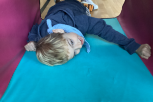Projekt Schmetterlinge Projekt Schmetterlinge