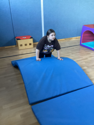 Projekt Schmetterlinge Projekt Schmetterlinge
