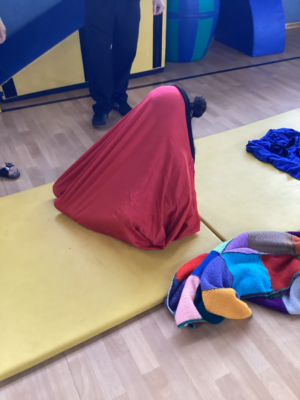 Projekt Schmetterlinge Projekt Schmetterlinge