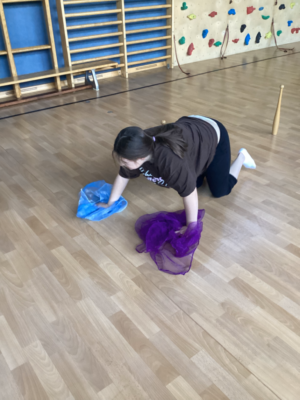 Projekt Schmetterlinge Projekt Schmetterlinge