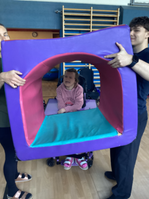 Projekt Schmetterlinge Projekt Schmetterlinge