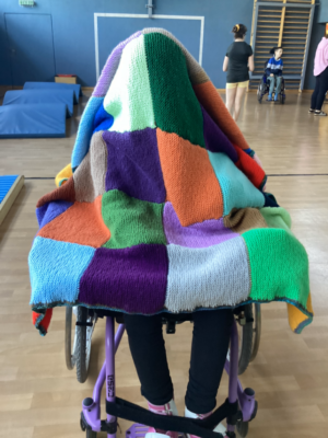 Projekt Schmetterlinge Projekt Schmetterlinge