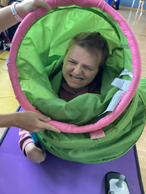 Projekt Schmetterlinge Projekt Schmetterlinge