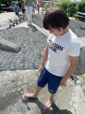 Eisgreissler Eisgreissler
