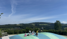 Eisgreissler