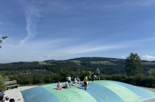 Eisgreissler