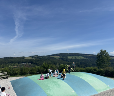 Eisgreissler