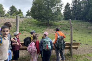 Naturpark Hohe Wand Naturpark Hohe Wand