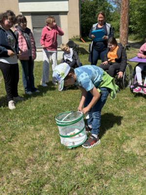 Projekt Schmetterlinge Projekt Schmetterlinge