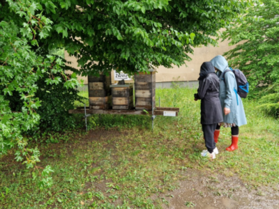 Waldpädagogen Waldpädagogen
