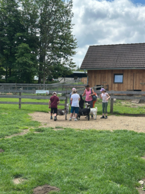 Naturpark Hohe Wand Naturpark Hohe Wand