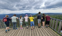 Naturpark Hohe Wand