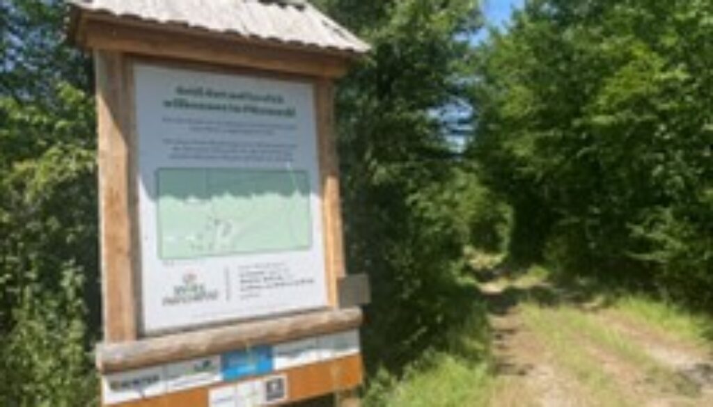 Bild3
