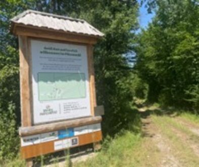 Bild3
