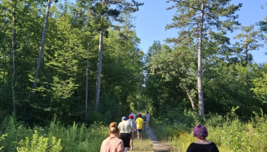 Spazieren im Föhrenwald