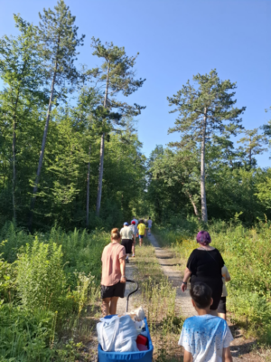 Spazieren im Föhrenwald Spazieren im Föhrenwald