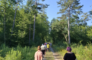 Spazieren im Föhrenwald