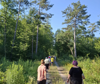 Spazieren im Föhrenwald